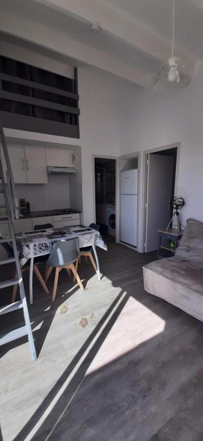 La Casel Appartement Cosy Avec Terrasse Proche Plage - Clim - Parking Saint-Cyprien  Exterior foto
