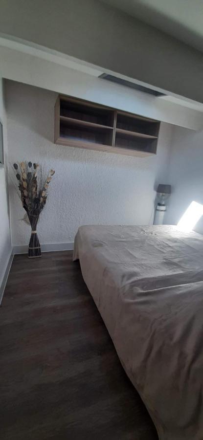La Casel Appartement Cosy Avec Terrasse Proche Plage - Clim - Parking Saint-Cyprien  Exterior foto